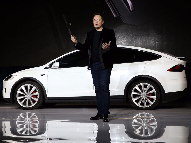 Tesla Model Y почнуть випускати восени наступного року?