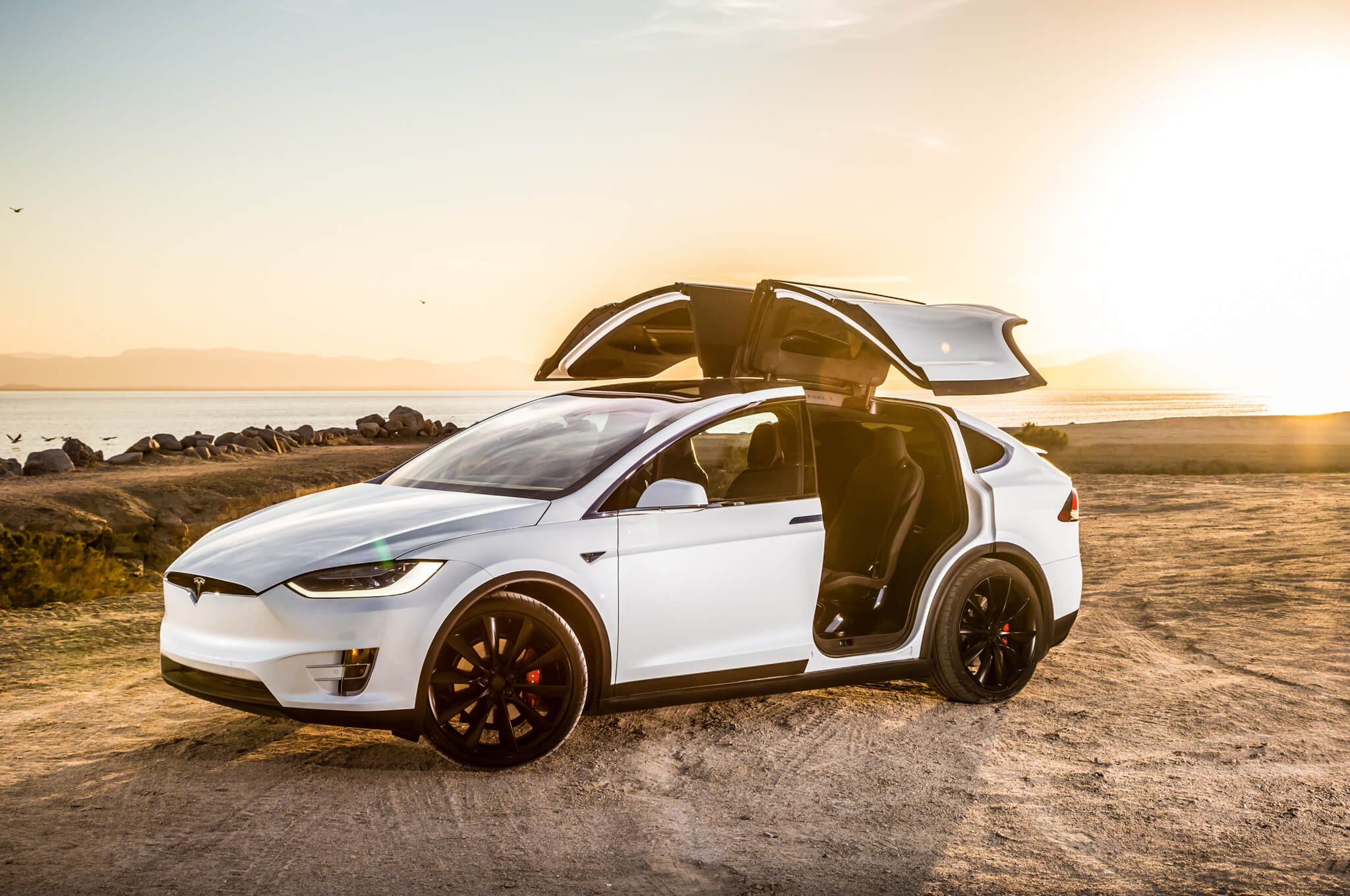 Американська автомобільна асоціація: Tesla Model X - кращий "зелений" автомобіль року